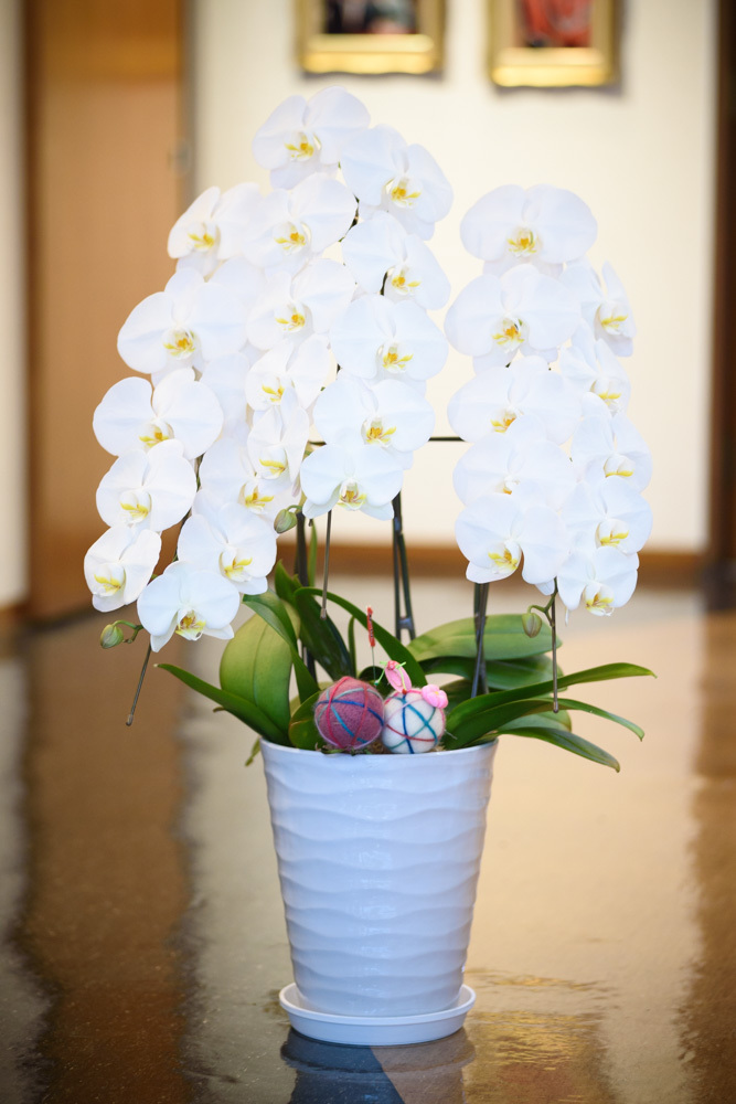 あけましておめでとうございます 2