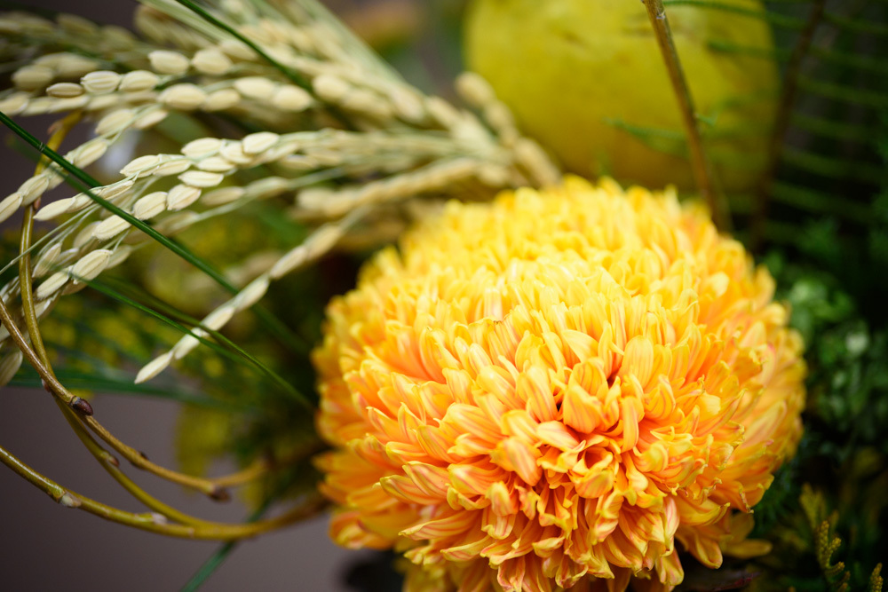 あけましておめでとうございます 4